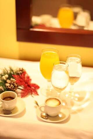 Отель Hotel Laguna Подгорица Бюджетный двухместный номер с 1 кроватью-12